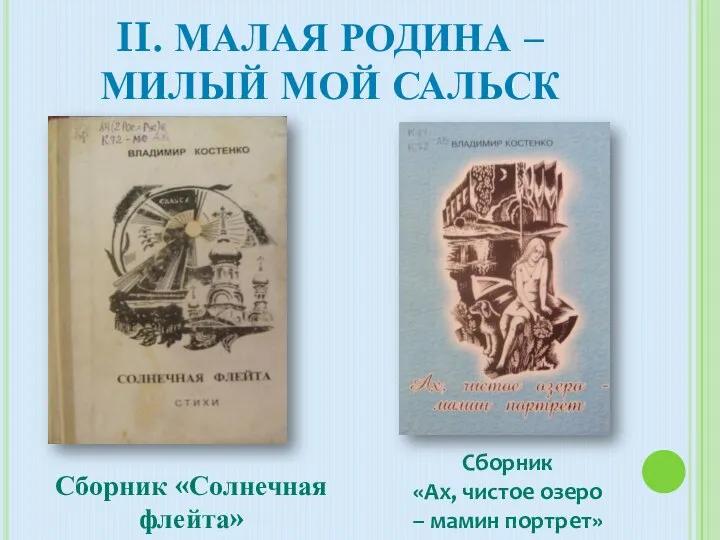 II. Малая родина – милый мой сальск Сборник «Солнечная флейта» Сборник