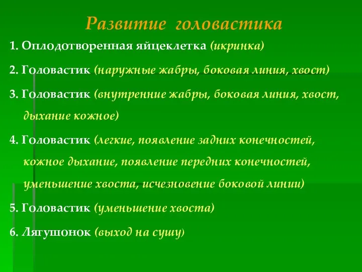 Развитие головастика 1. Оплодотворенная яйцеклетка (икринка) 2. Головастик (наружные жабры, боковая