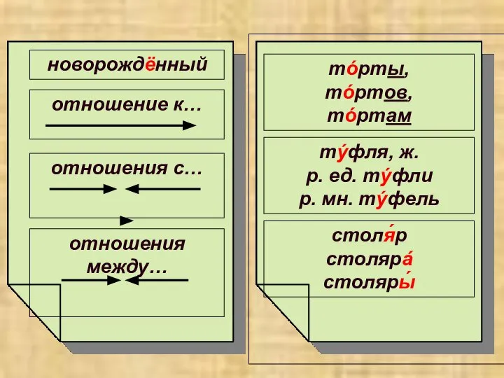 новорождённый отношение к… отношения с… отношения между… тóрты, тóртов, тóртам тýфля,