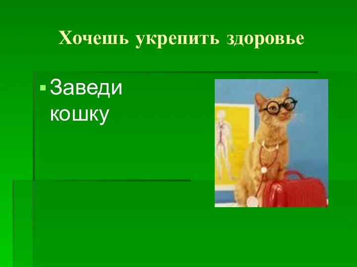 Хочешь укрепить здоровье Заведи кошку