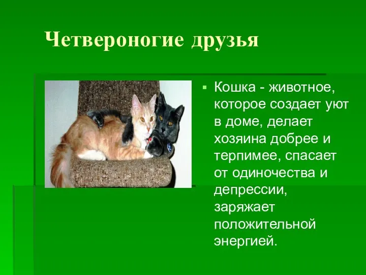 Четвероногие друзья Кошка - животное, которое создает уют в доме, делает