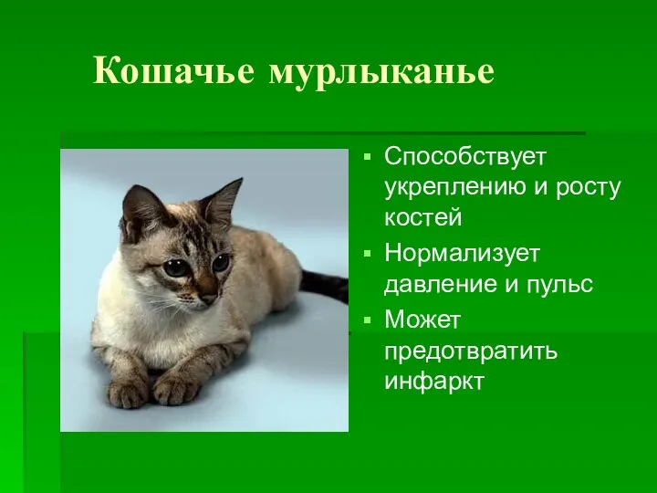 Кошачье мурлыканье Способствует укреплению и росту костей Нормализует давление и пульс Может предотвратить инфаркт