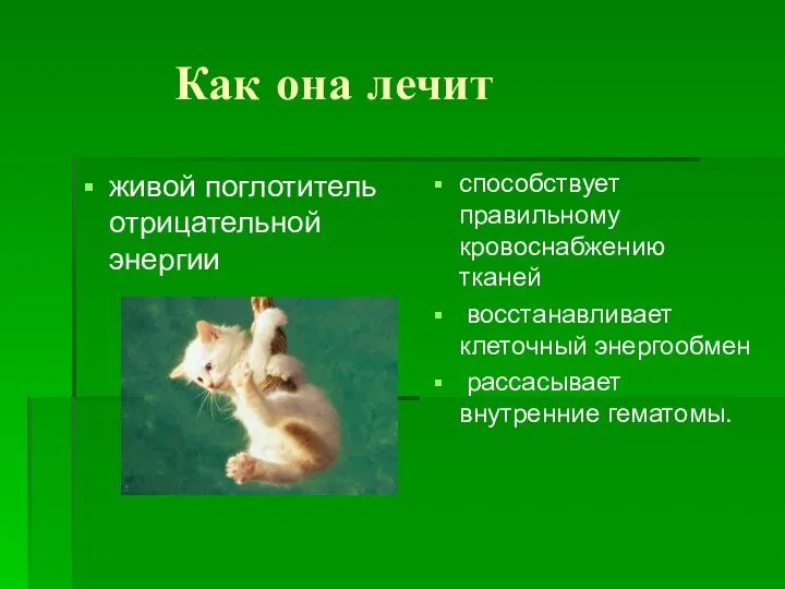 Как она лечит живой поглотитель отрицательной энергии способствует правильному кровоснабжению тканей