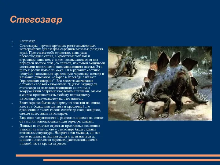 Стегозавр Стегозавр Стегозавры - группа крупных растительноядных четвероногих динозавров середины мезозоя