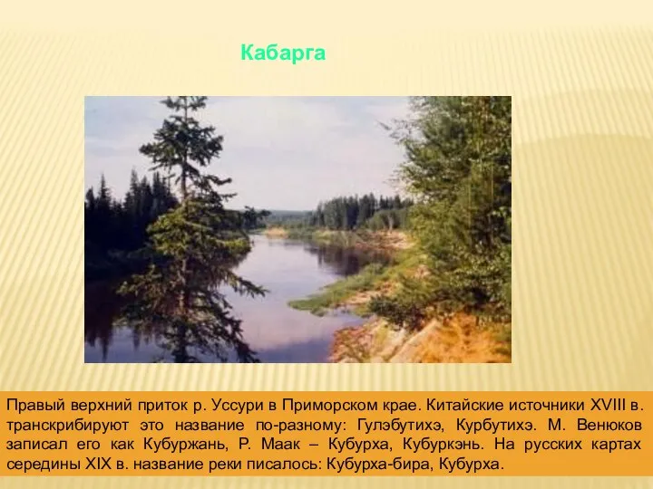 Кабарга