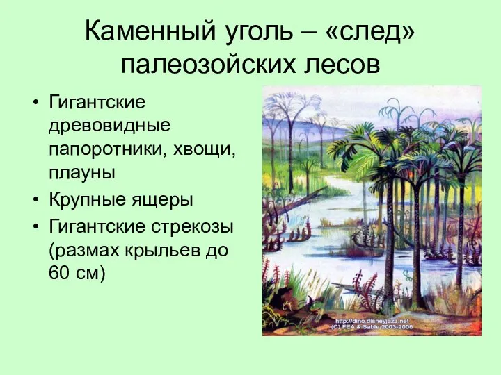 Каменный уголь – «след» палеозойских лесов Гигантские древовидные папоротники, хвощи, плауны