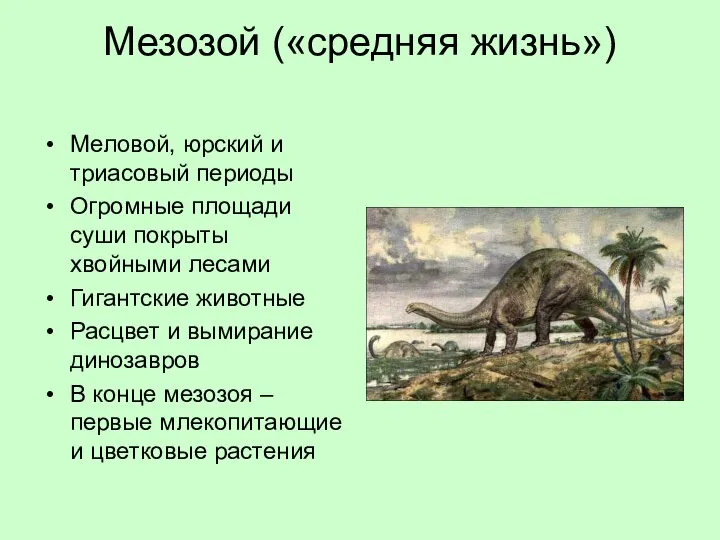 Мезозой («средняя жизнь») Меловой, юрский и триасовый периоды Огромные площади суши