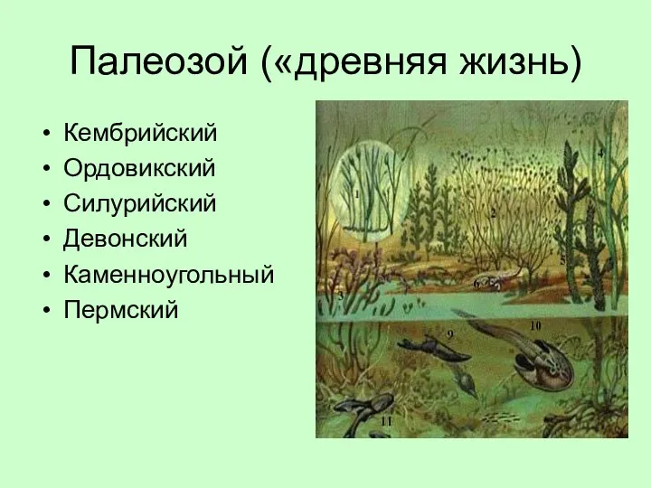 Палеозой («древняя жизнь) Кембрийский Ордовикский Силурийский Девонский Каменноугольный Пермский