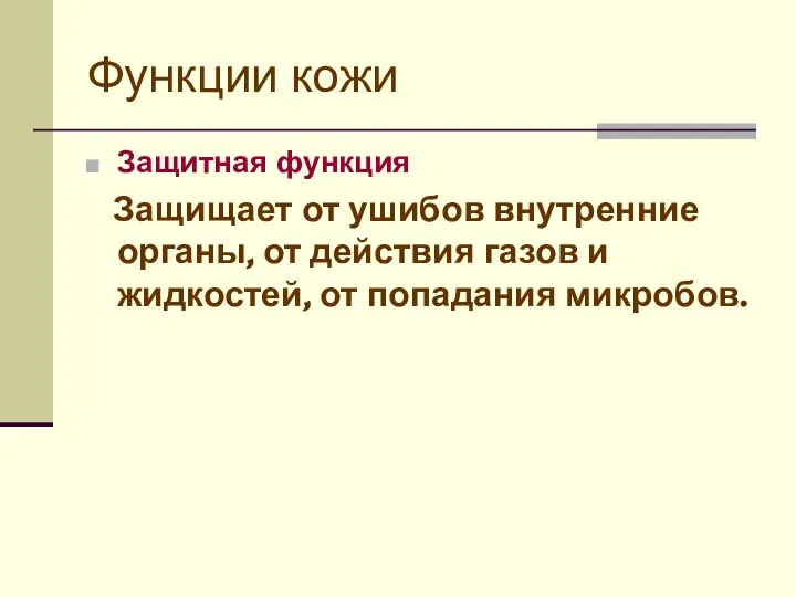 Функции кожи Защитная функция Защищает от ушибов внутренние органы, от действия