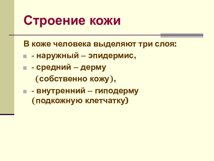 Строение кожи В коже человека выделяют три слоя: - наружный –