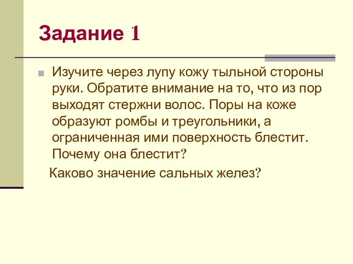 Задание 1 Изучите через лупу кожу тыльной стороны руки. Обратите внимание