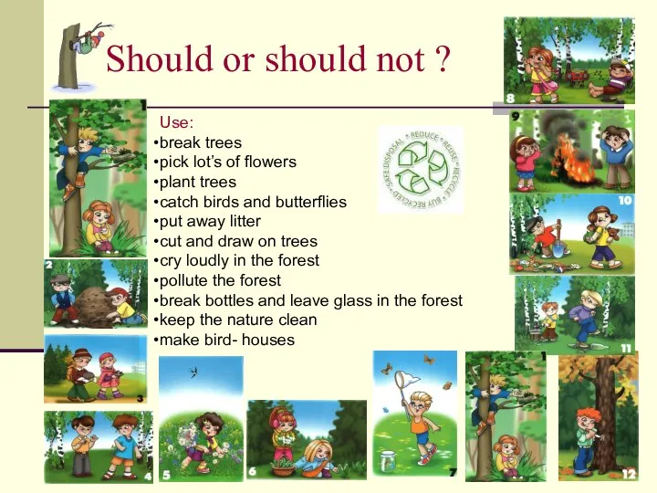 Should or should not ? Use: break trees pick lot’s of