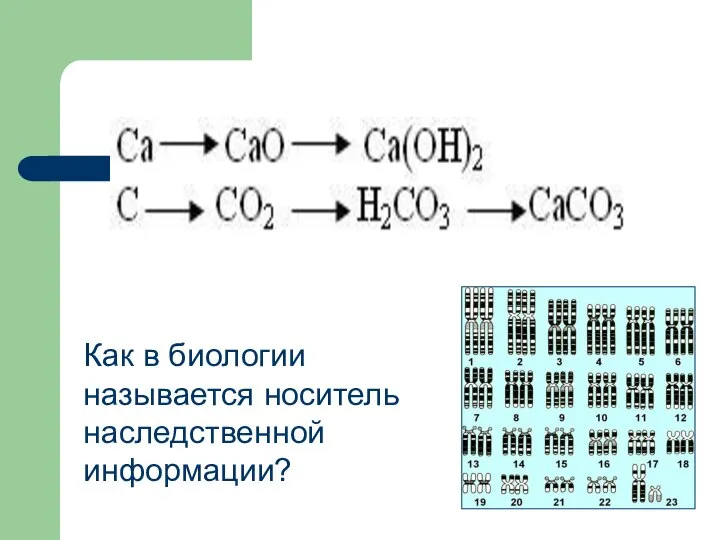 Как в биологии называется носитель наследственной информации?