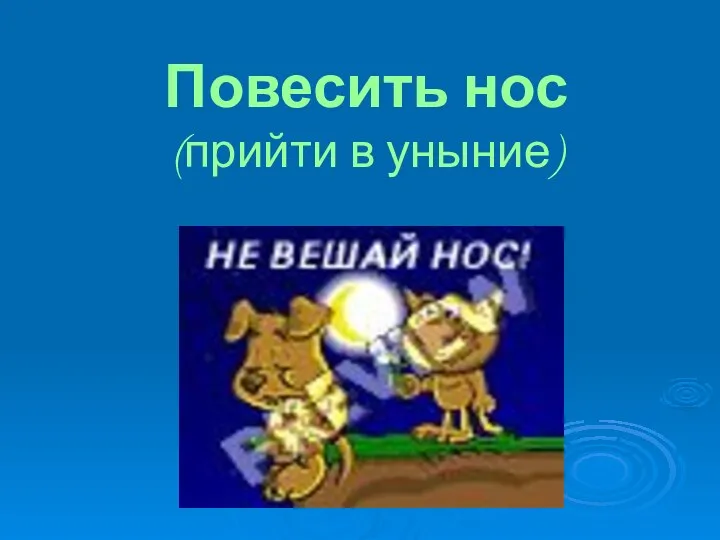 Повесить нос (прийти в уныние)