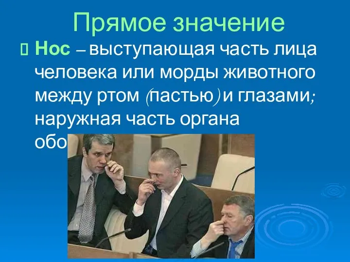 Прямое значение Нос – выступающая часть лица человека или морды животного