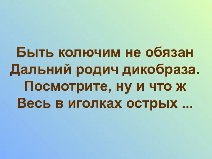 Быть колючим не обязан Дальний родич дикобраза. Посмотрите, ну и что