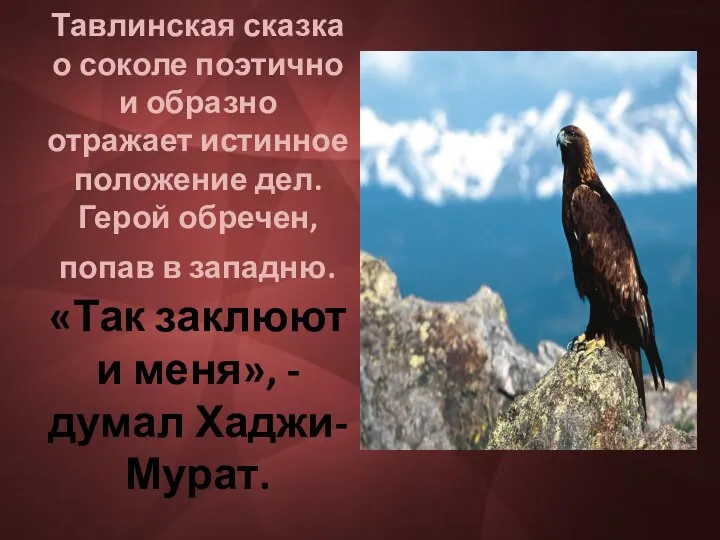 Тавлинская сказка о соколе поэтично и образно отражает истинное положение дел.