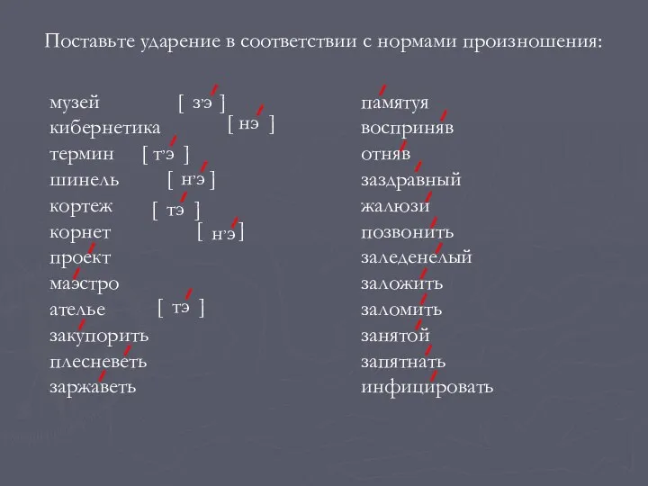 Поставьте ударение в соответствии с нормами произношения: музей кибернетика термин шинель