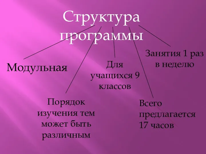 Структура программы Модульная Порядок изучения тем может быть различным Всего предлагается