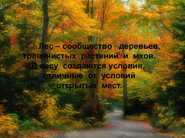 Лес – сообщество деревьев, травянистых растений и мхов. В лесу создаются