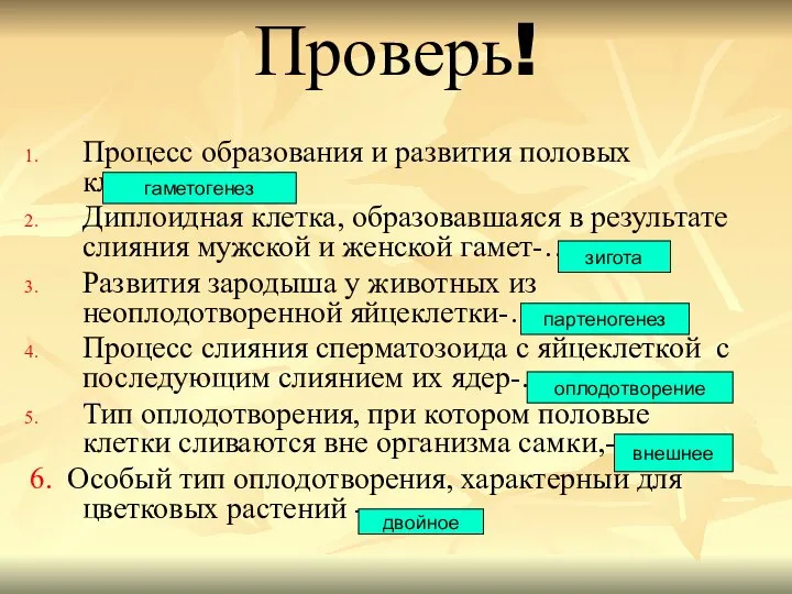 Проверь! Процесс образования и развития половых клеток-… .. Диплоидная клетка, образовавшаяся