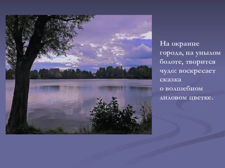 На окраине города, на унылом болоте, творится чудо: воскресает сказка о волшебном лиловом цветке.