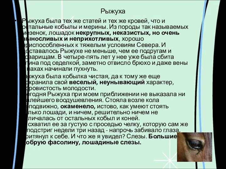 Рыжуха Рыжуха была тех же статей и тех же кровей, что