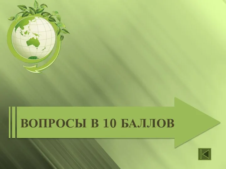 Вопросы в 10 баллов