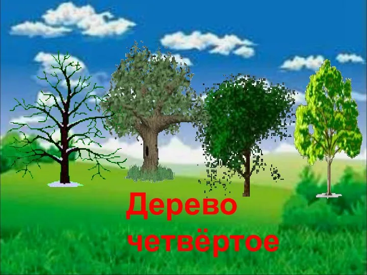 Дерево четвёртое