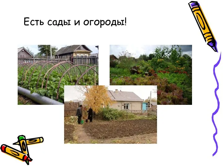 Есть сады и огороды!