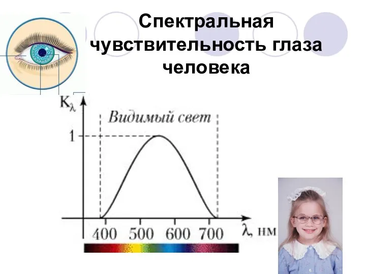 Спектральная чувствительность глаза человека