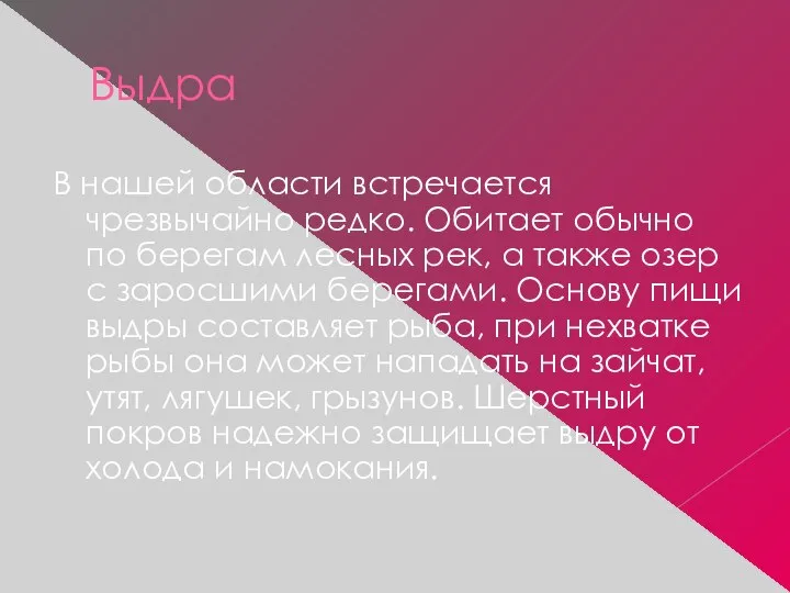 Выдра В нашей области встречается чрезвычайно редко. Обитает обычно по берегам