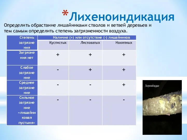 Лихеноиндикация Определить обрастание лишайниками стволов и ветвей деревьев и тем самым определить степень загрязненности воздуха.