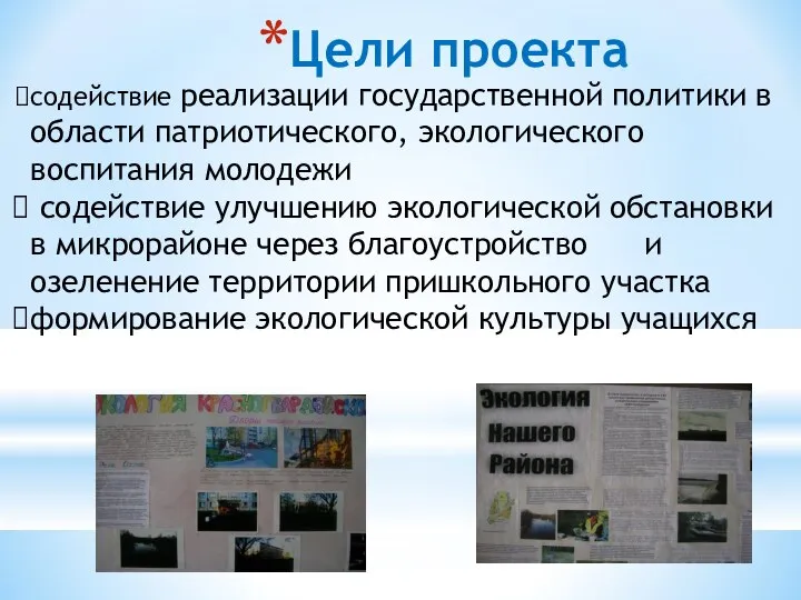 содействие реализации государственной политики в области патриотического, экологического воспитания молодежи содействие