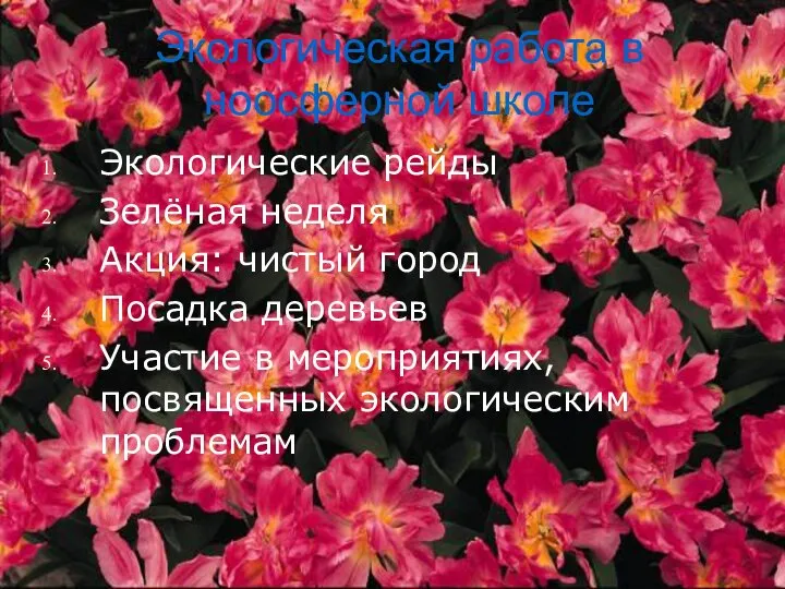 Экологическая работа в ноосферной школе Экологические рейды Зелёная неделя Акция: чистый