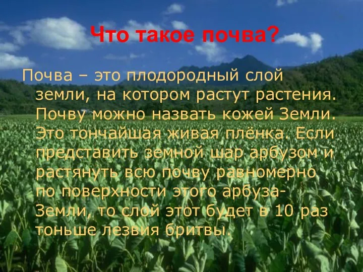 Что такое почва? Почва – это плодородный слой земли, на котором