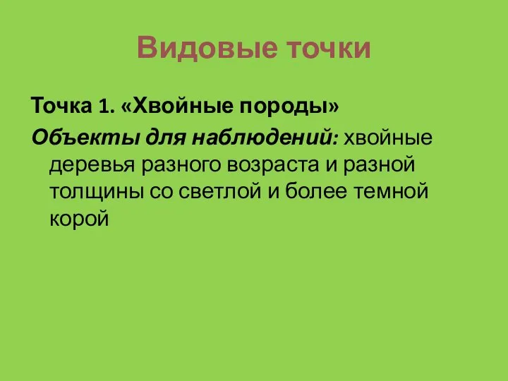 Видовые точки Точка 1. «Хвойные породы» Объекты для наблюдений: хвойные деревья