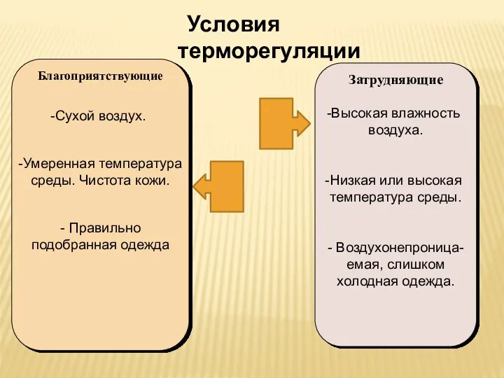 Условия терморегуляции Благоприятствующие Сухой воздух. Умеренная температура среды. Чистота кожи. -