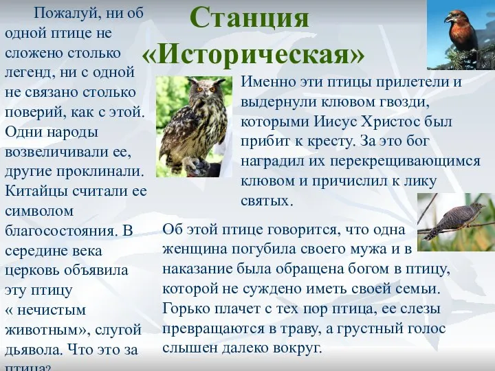 Станция «Историческая» Пожалуй, ни об одной птице не сложено столько легенд,