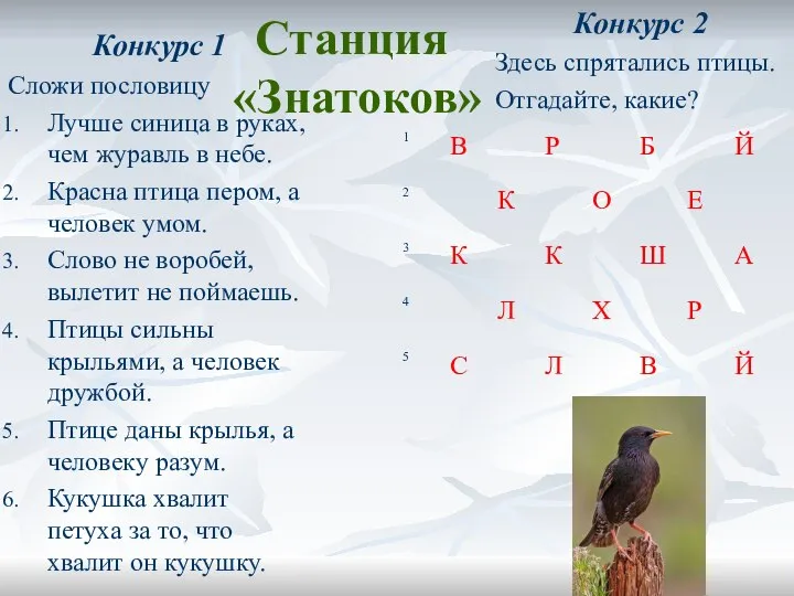 Станция «Знатоков» Конкурс 2 Здесь спрятались птицы. Отгадайте, какие? Конкурс 1