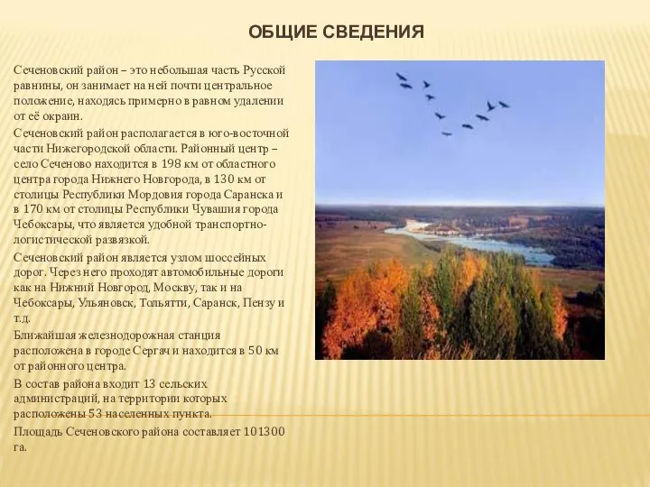 ОБЩИЕ СВЕДЕНИЯ Сеченовский район – это небольшая часть Русской равнины, он