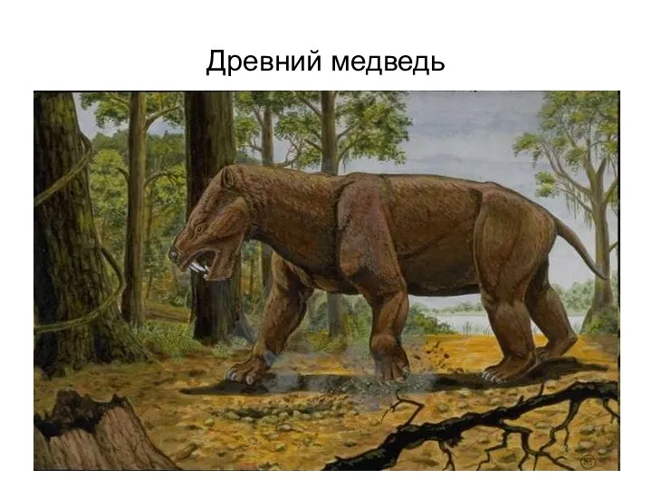 Древний медведь