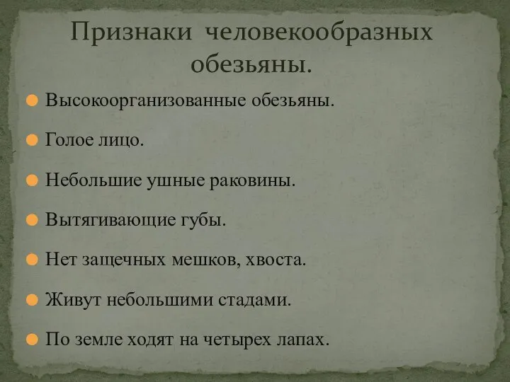 Высокоорганизованные обезьяны. Голое лицо. Небольшие ушные раковины. Вытягивающие губы. Нет защечных