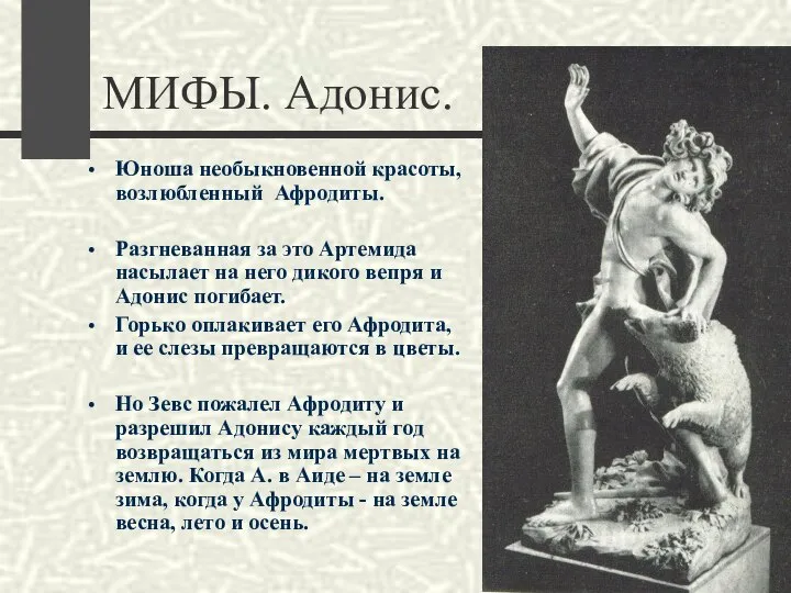 МИФЫ. Адонис. Юноша необыкновенной красоты, возлюбленный Афродиты. Разгневанная за это Артемида