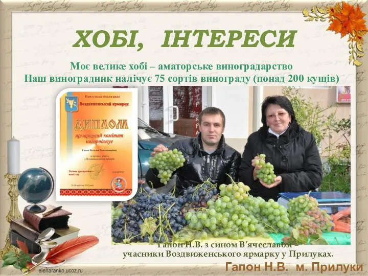 Моє велике хобі – аматорське виноградарство Наш виноградник налічує 75 сортів