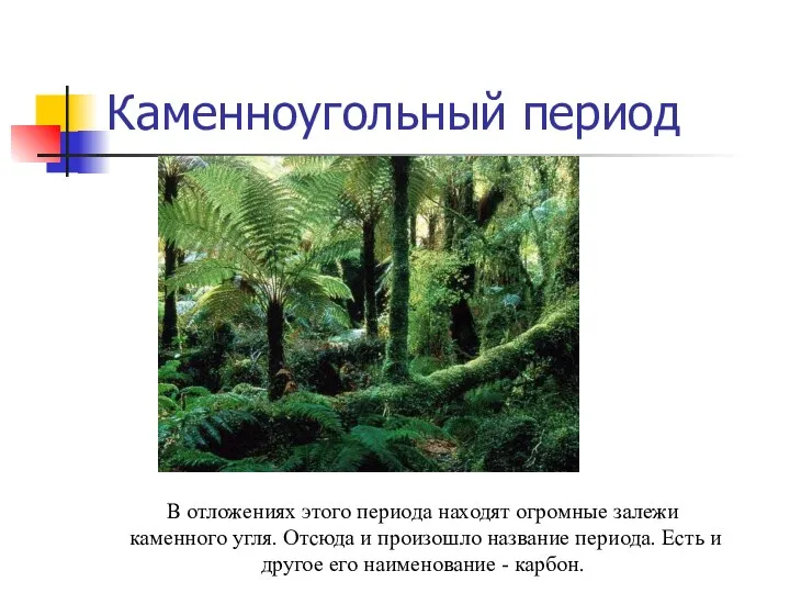 Каменноугольный период В отложениях этого периода находят огромные залежи каменного угля.