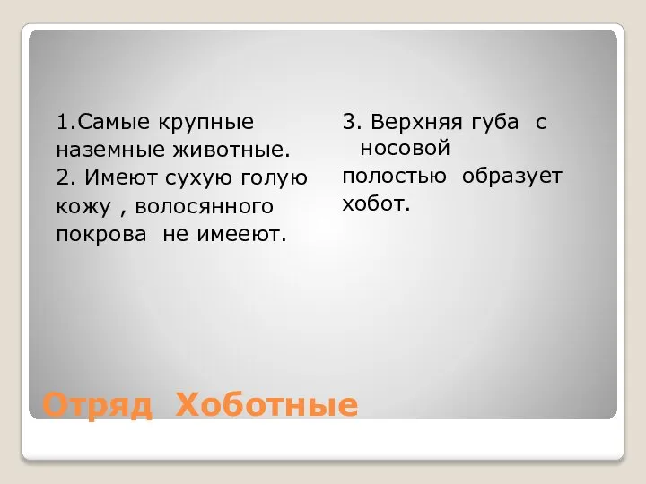 Отряд Хоботные 1.Самые крупные наземные животные. 2. Имеют сухую голую кожу