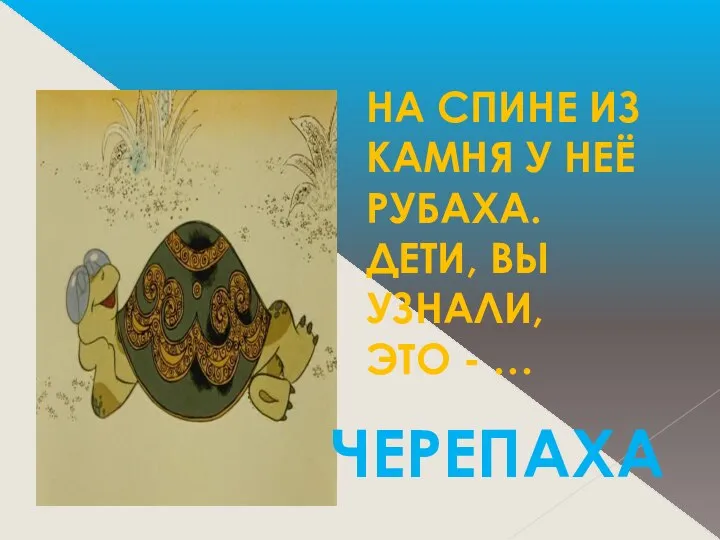 НА СПИНЕ ИЗ КАМНЯ У НЕЁ РУБАХА. ДЕТИ, ВЫ УЗНАЛИ, ЭТО - … ЧЕРЕПАХА