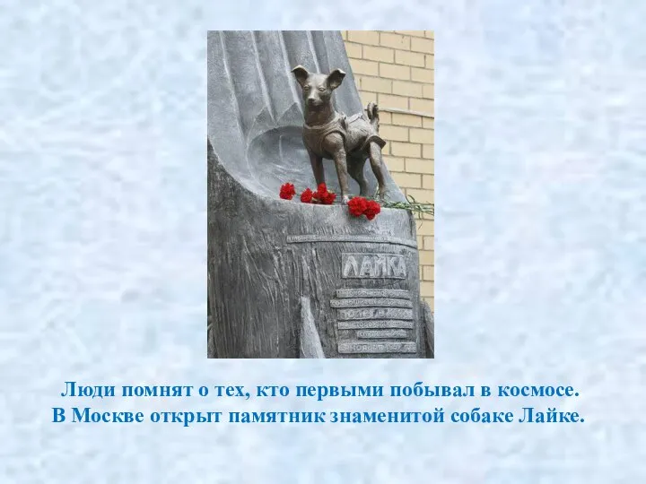 Люди помнят о тех, кто первыми побывал в космосе. В Москве открыт памятник знаменитой собаке Лайке.