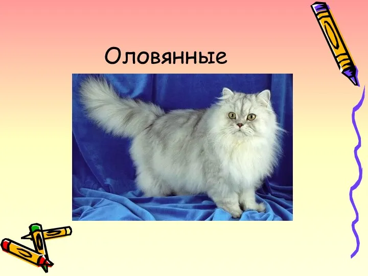 Оловянные